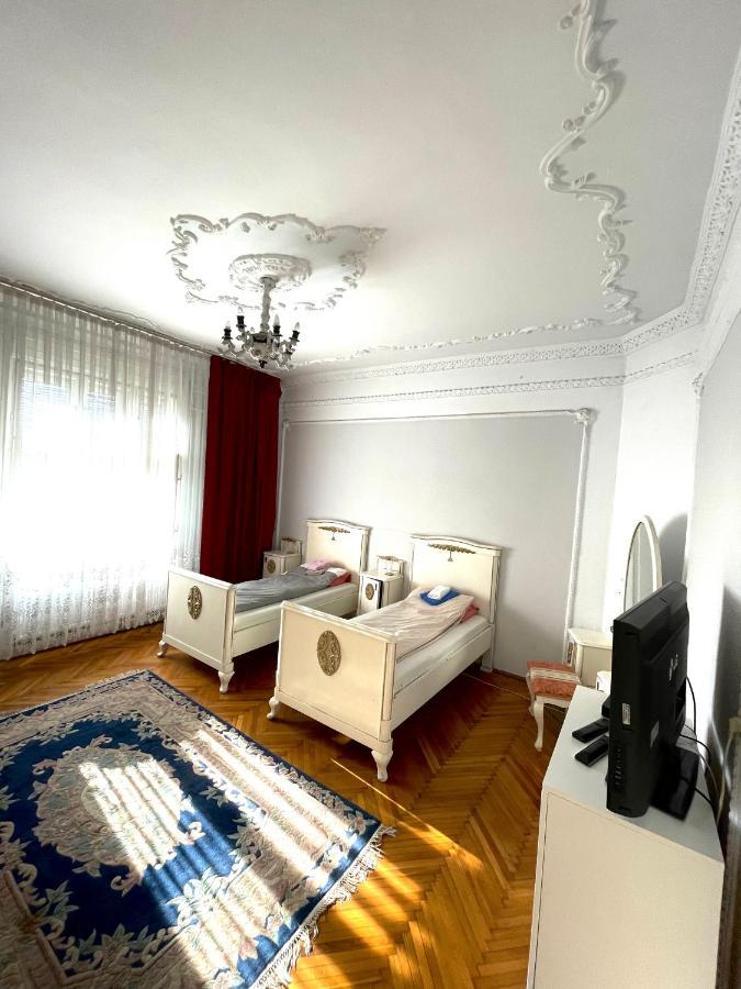 Mosaico Alfetta Hostel Тімішоара Екстер'єр фото