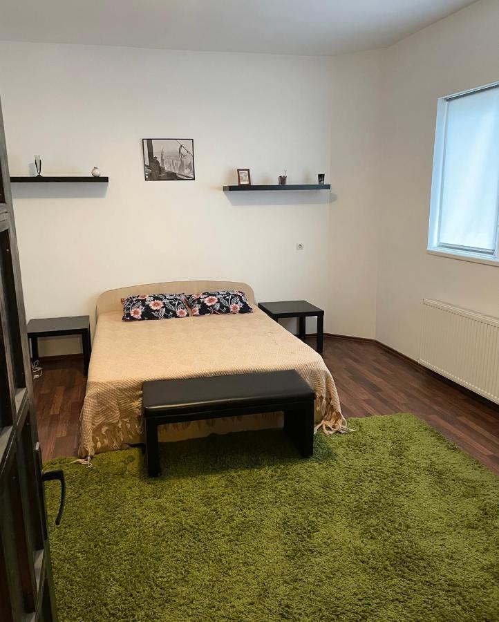 Mosaico Alfetta Hostel Тімішоара Екстер'єр фото