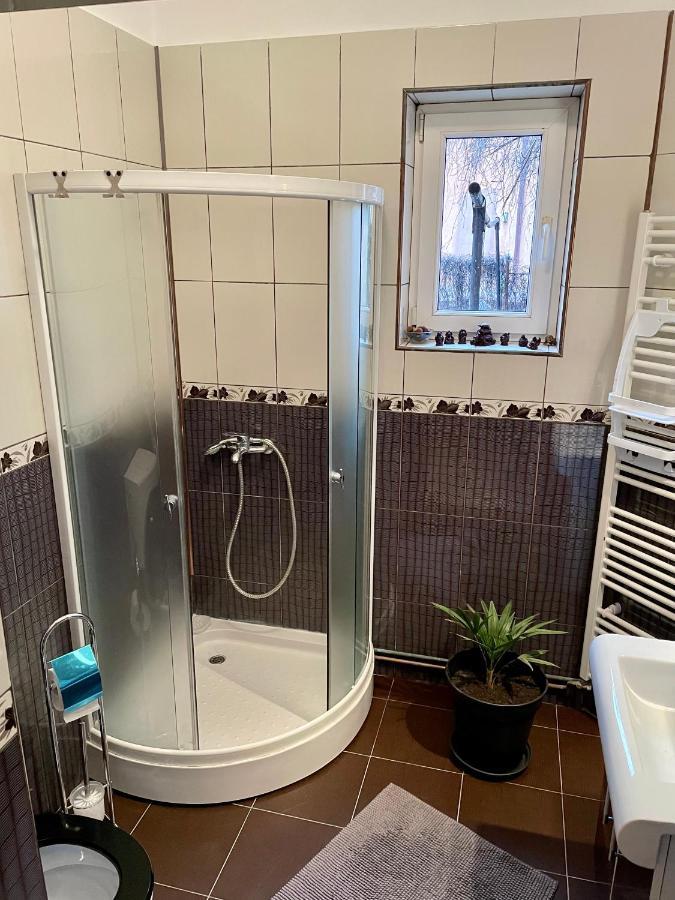 Mosaico Alfetta Hostel Тімішоара Екстер'єр фото