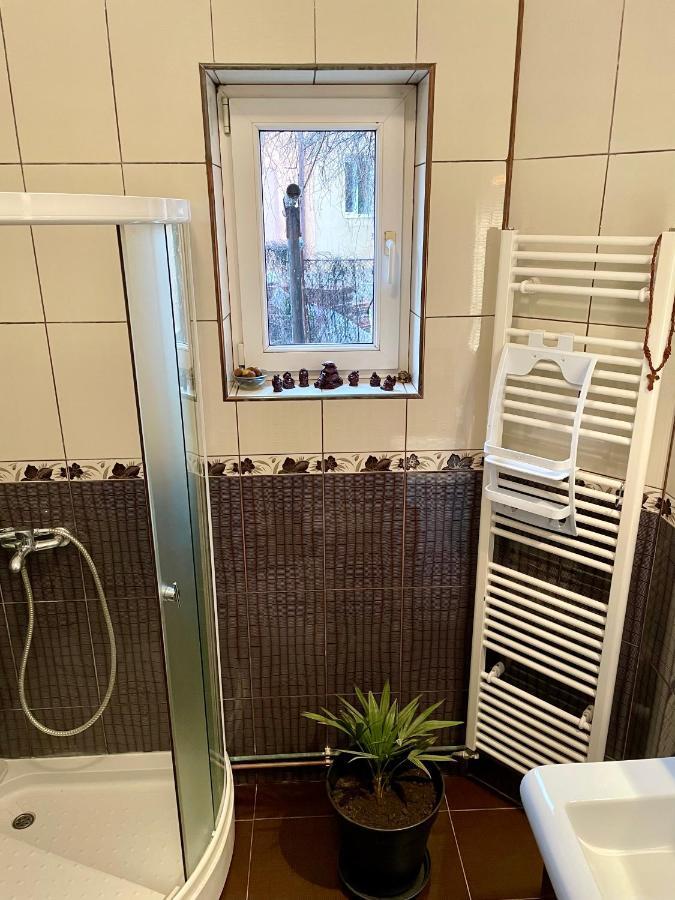 Mosaico Alfetta Hostel Тімішоара Екстер'єр фото