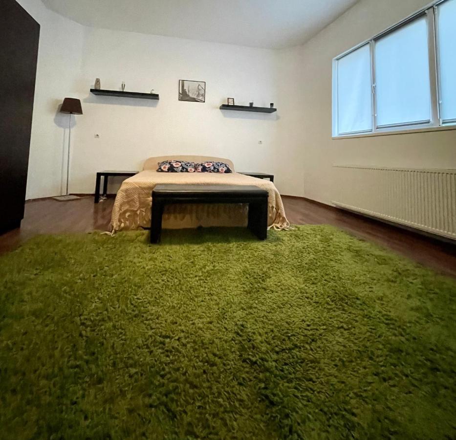 Mosaico Alfetta Hostel Тімішоара Екстер'єр фото