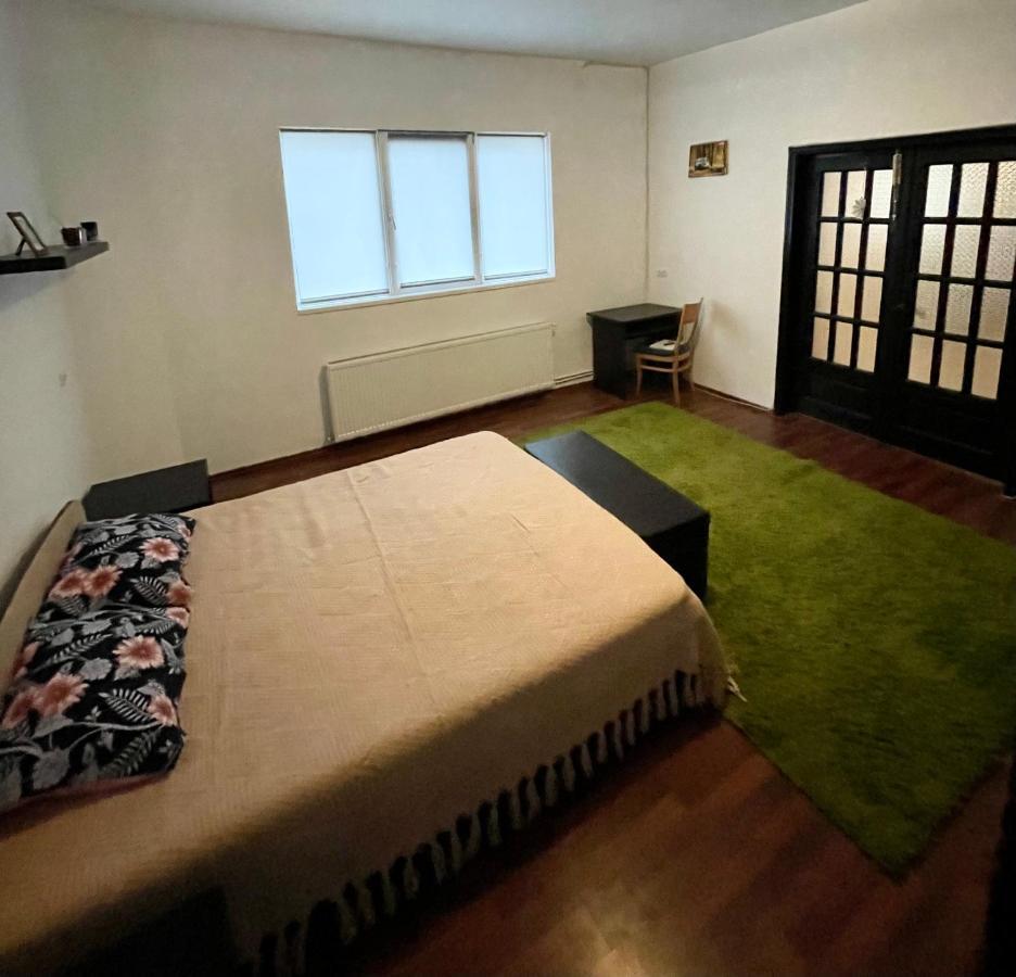 Mosaico Alfetta Hostel Тімішоара Екстер'єр фото