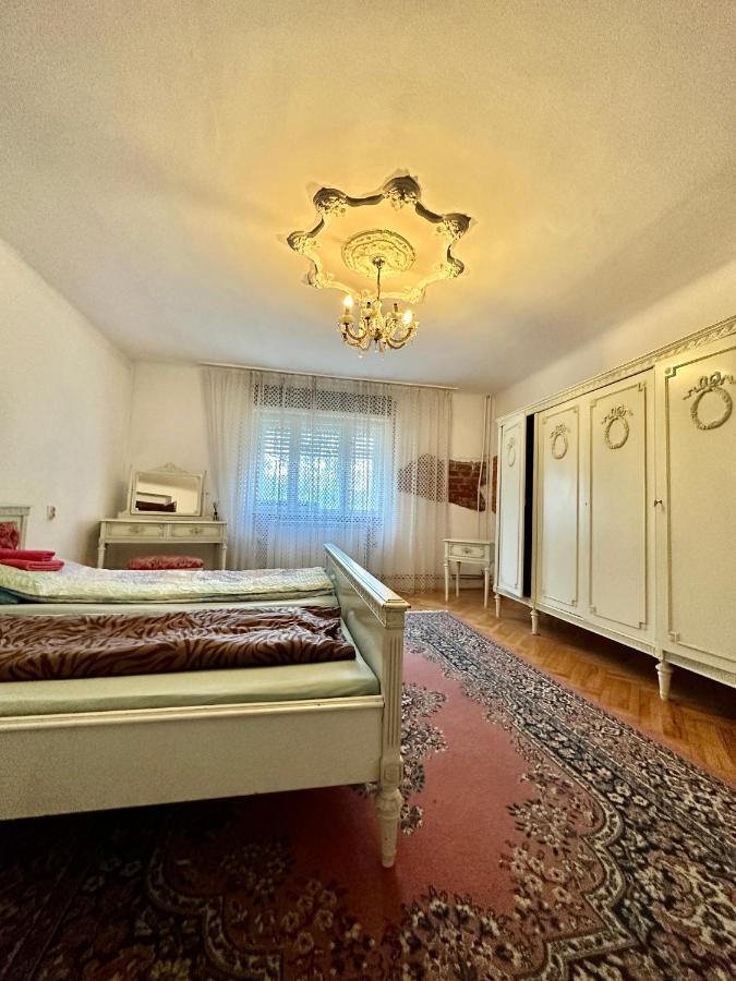 Mosaico Alfetta Hostel Тімішоара Екстер'єр фото