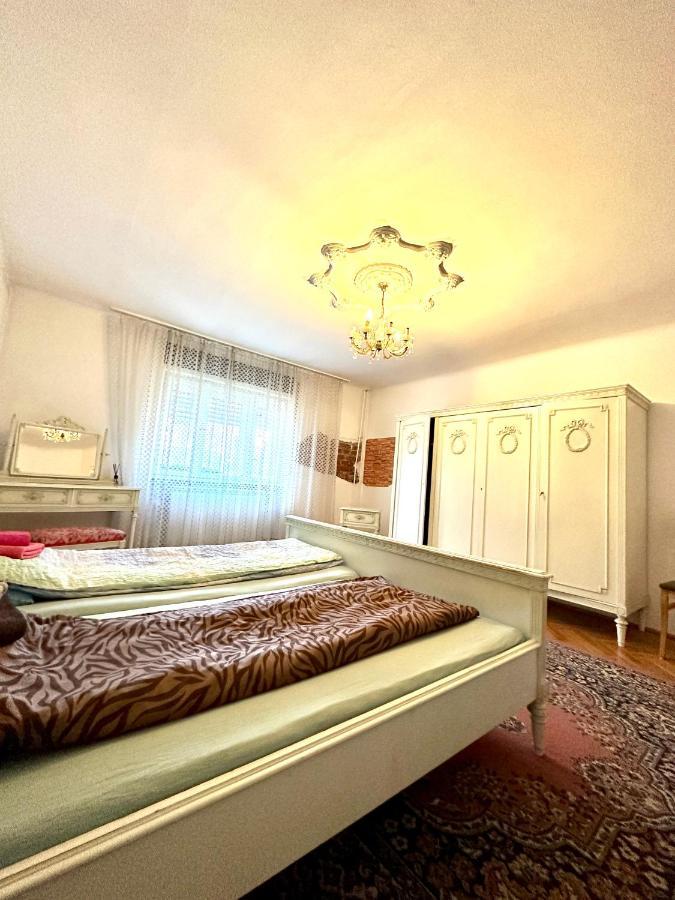 Mosaico Alfetta Hostel Тімішоара Екстер'єр фото