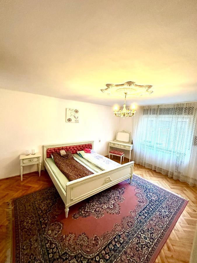 Mosaico Alfetta Hostel Тімішоара Екстер'єр фото