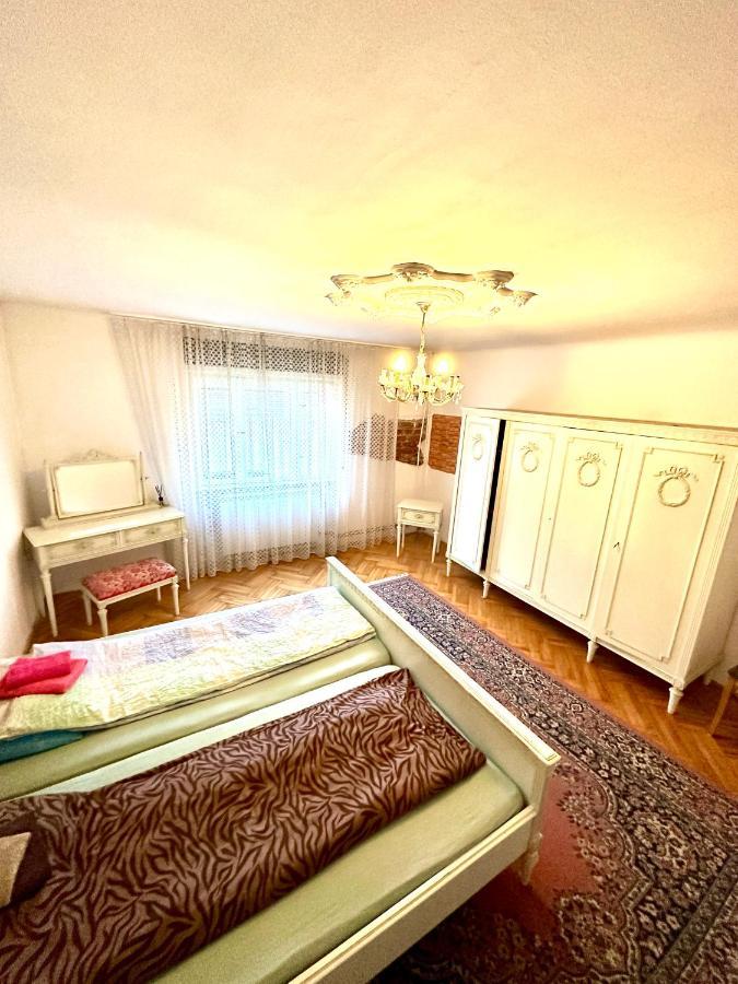 Mosaico Alfetta Hostel Тімішоара Екстер'єр фото