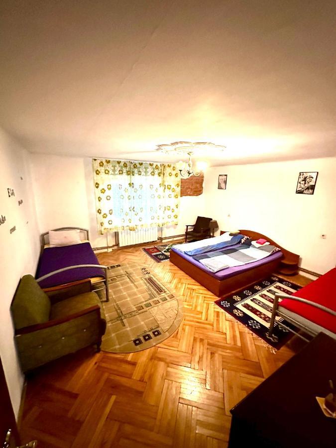Mosaico Alfetta Hostel Тімішоара Екстер'єр фото